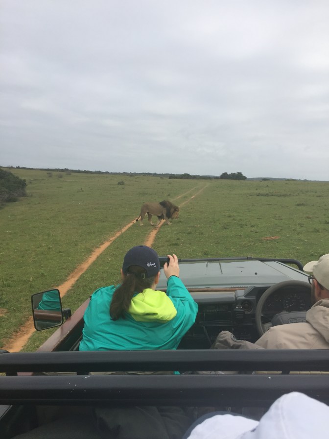 E0FD7204-9F81-4F4E-992B-D757BF078CC9