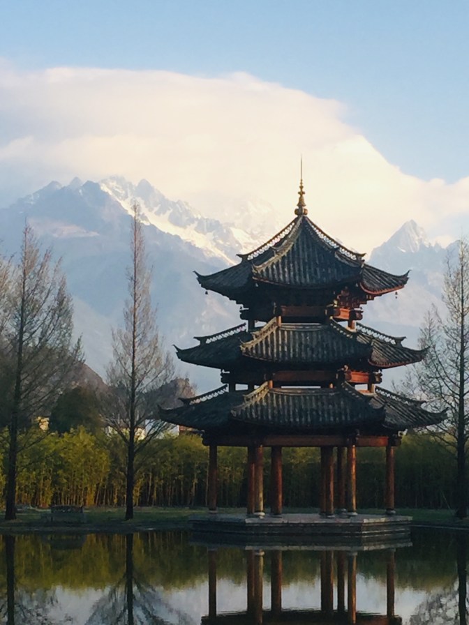 5AF03183-C5CB-4D63-9F17-E28D56295A7B