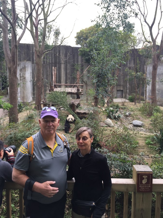 6DBA3D29-9D04-496F-9845-6E0F2940E3FA