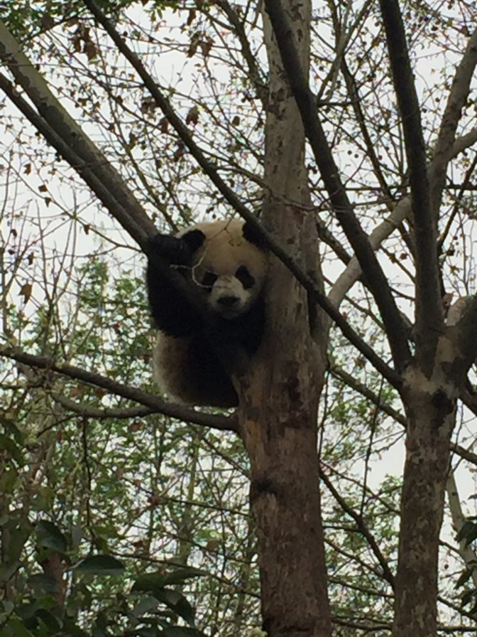 DEE6D2F2-28C3-4052-AEF0-C5DBBC5C847E