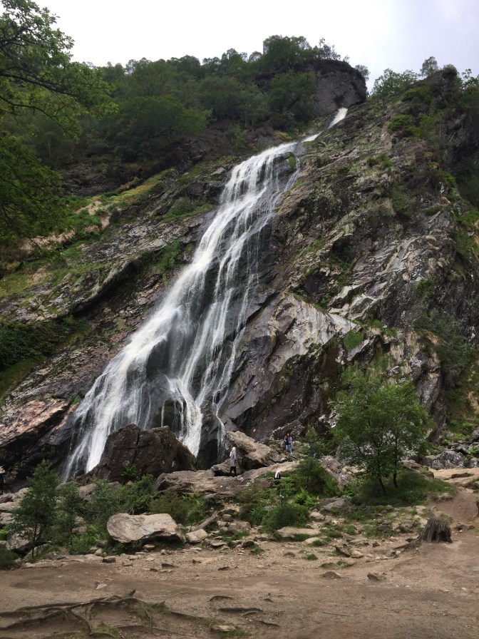 7729EE66-B678-42F1-82C5-F0D0C111D65F