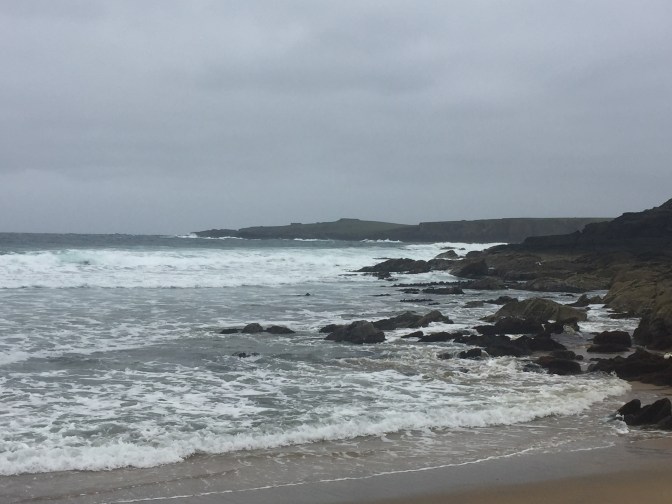 CCB2174E-E560-4684-990E-388AB013160D