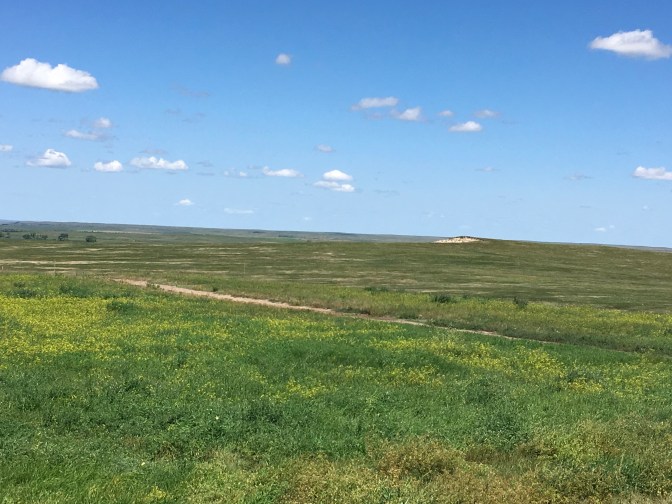 F665B3E5-90A1-49F2-9B98-A45E81B5AB23