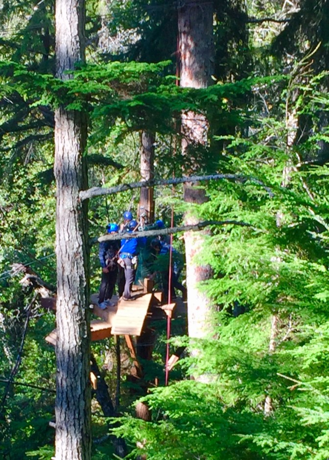 00E6B06B-EF30-412D-A14F-77CD444A8902