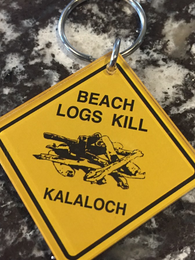 5BC81045-49E4-408A-A725-671E80C09CC0