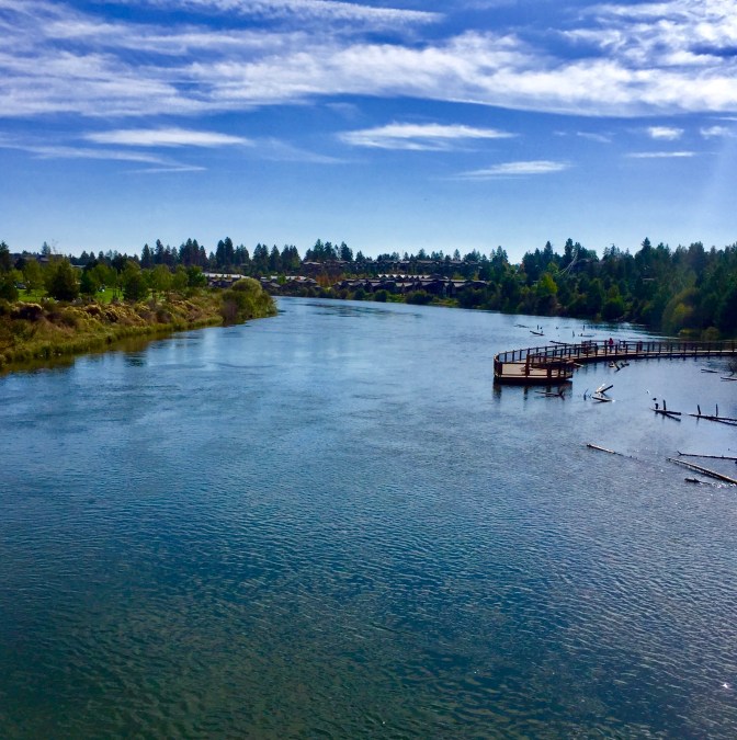 78039307-AC4D-40D7-80FF-F8027040DFE7