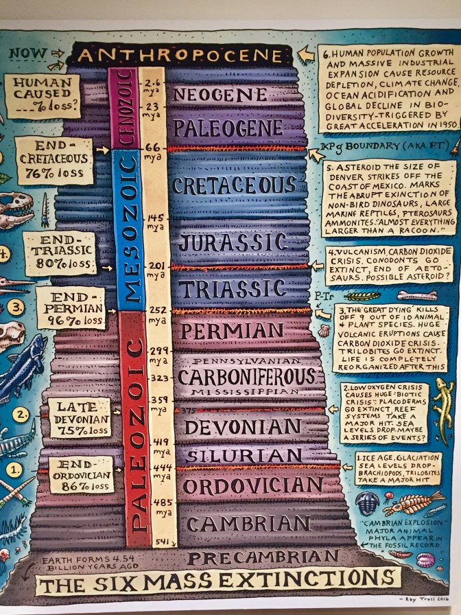 E15E79A2-CC38-422C-B912-378368013E1F