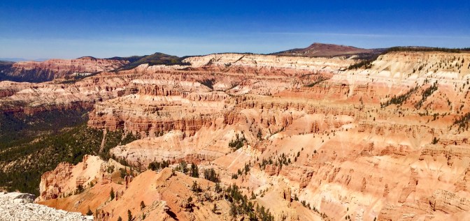 1D5815B7-AAFE-4814-B4AB-1E38D43E8908