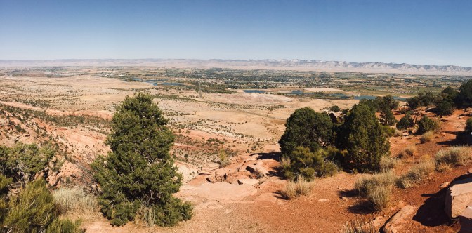 481DE74A-5438-4855-BC41-6B3382500891