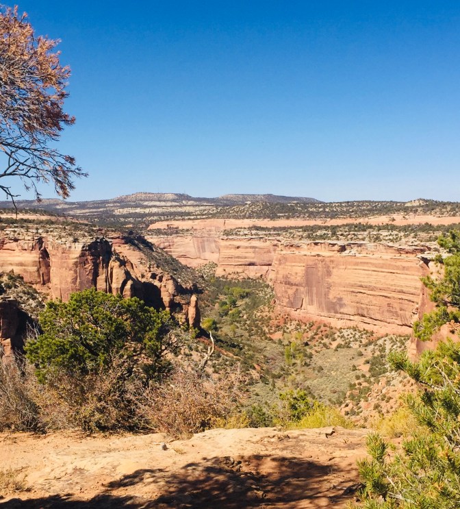 5FE5CD8B-80F2-4E59-92C4-8A175042B108