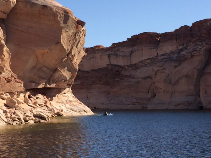 76564636-3DE1-4D65-B82F-C63E5865B54E