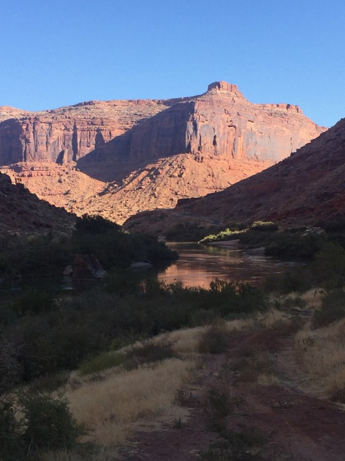 79F9F682-23D4-43A3-B5F0-472EF4E095CA