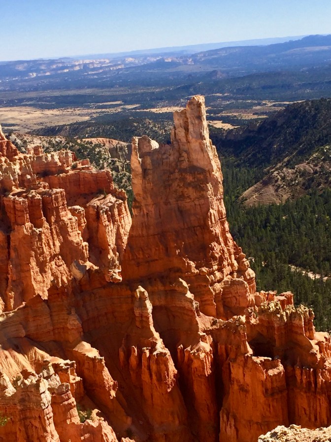 AAB228B4-0410-4945-AD0A-392F94364F51