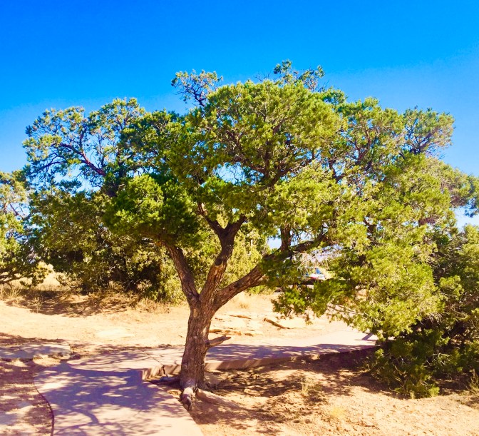 B86A9235-2240-411F-AA3A-CA4AAD038E1D