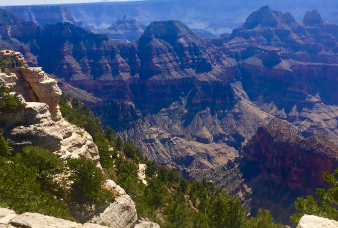 B8B75035-5966-46D1-91F9-115AE66A15DD