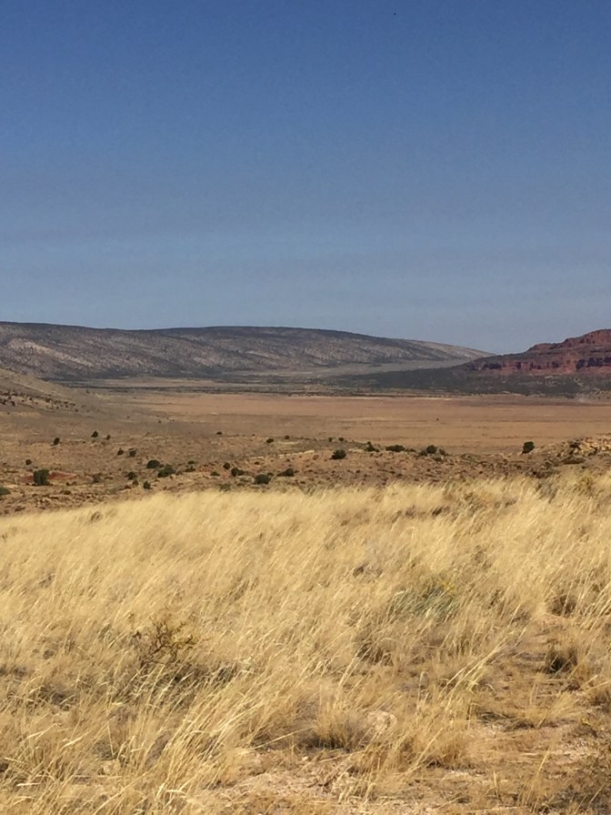 D0828E11-117F-4409-BCDD-CFD136E97720