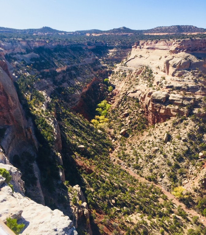 D51B7F95-4CE5-4540-978B-A50EA10AF31A