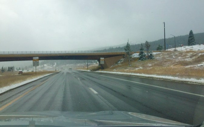 E24690D6-A7D6-4650-AD37-6F150E9371B0