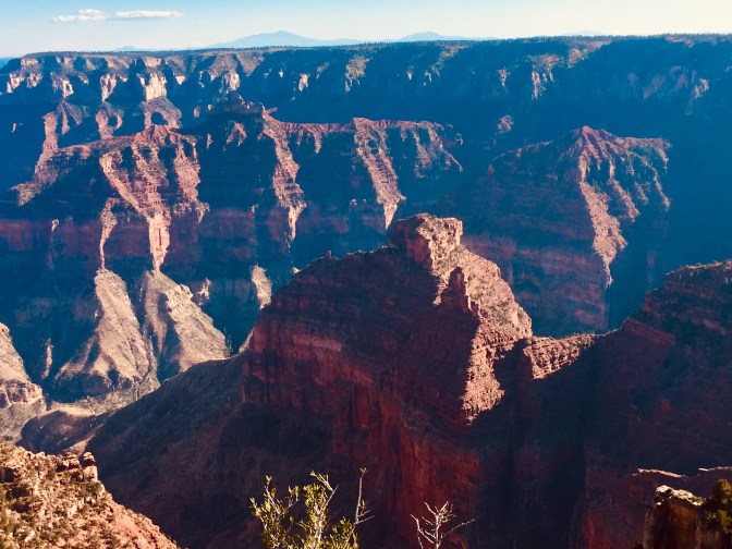 E462D8F7-8046-49BF-B6E2-930EA4D2DB42