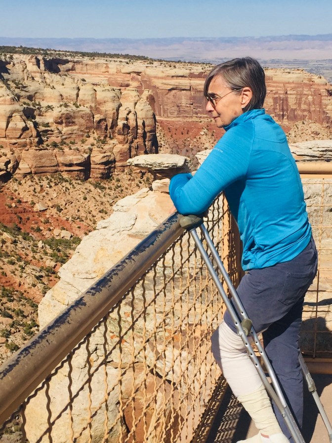 FC78599D-A5FC-4905-97FE-C2661992D214