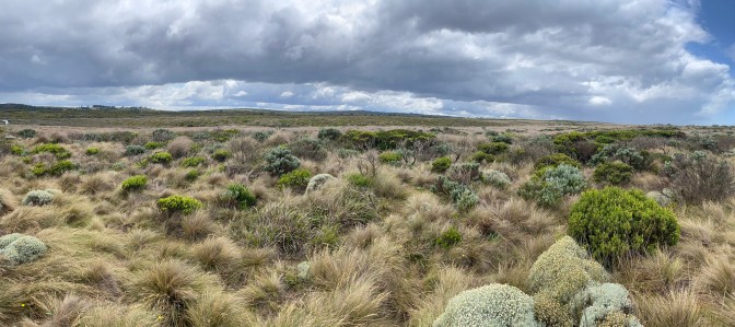 54A1A805-E8BC-4E02-A297-95E8322AC887