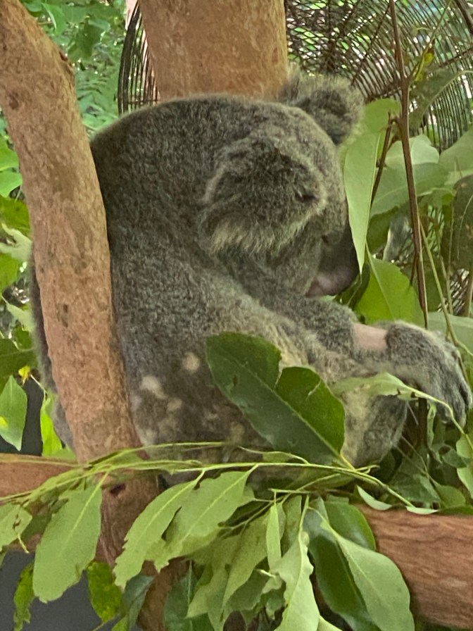 13C7AE4C-6251-4E4C-90AF-35B31507E67D