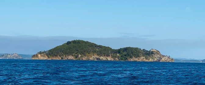 1EFFE2EA-B2F6-4A6F-95B1-047361AE0979