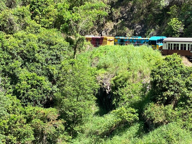 39C53C45-5C69-4D8E-80BB-80EE8C9043FD