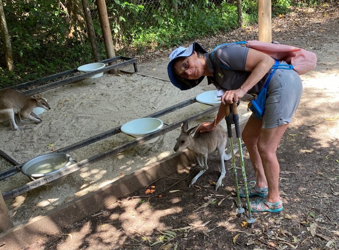 4109DE46-7AA2-4F53-B5C5-70F6F0985348