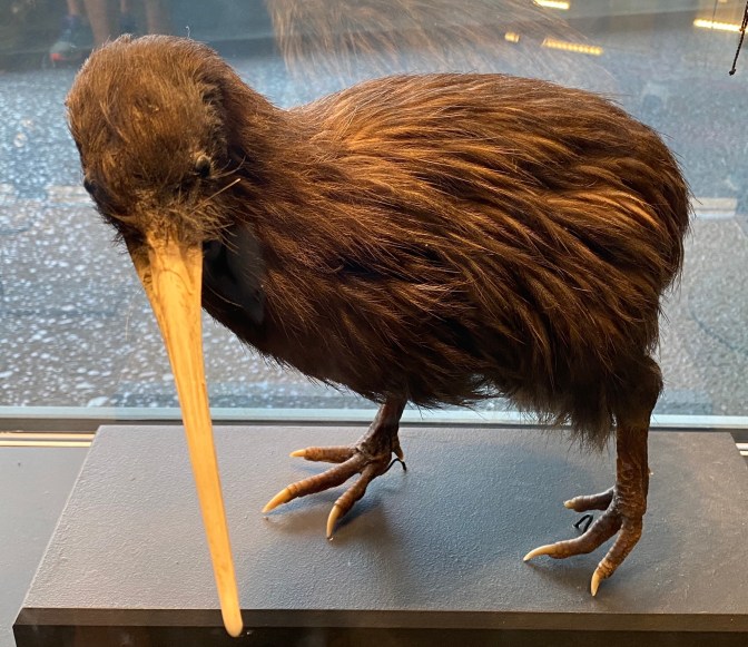 A8BC464B-74A0-4503-A5F6-62E9A67163DB