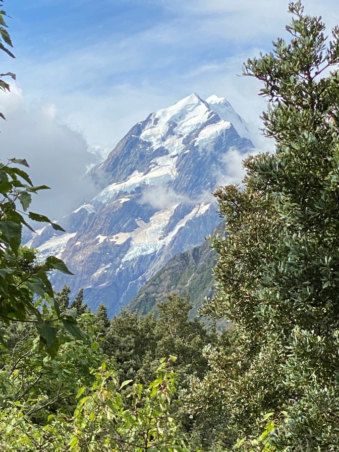 BDCB7B09-669A-45D1-AA8C-F4DA39CA0397