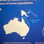 The Great Barrier Reef