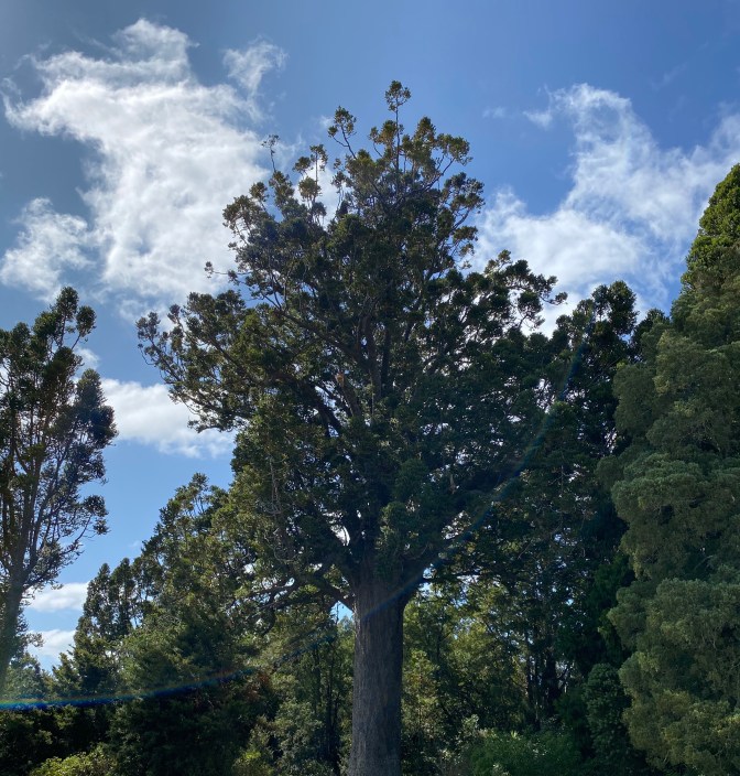 F09CD694-8F9C-4A06-8A91-36FC5A3FE9CA