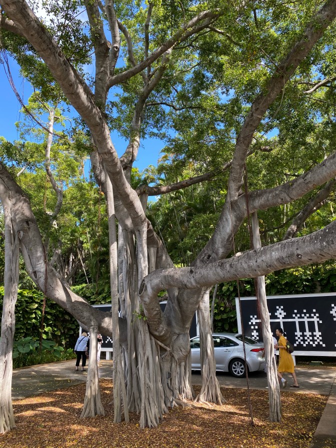 B56FDBAE-2B2B-4F4C-BA82-2CE61181D6B2