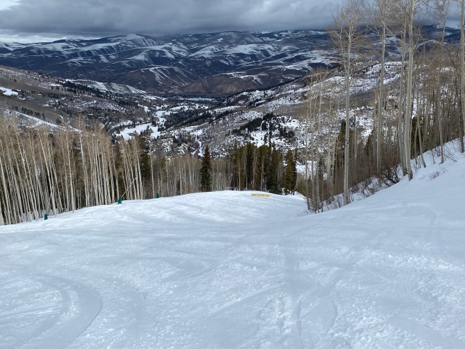 D0CB2F4D-0E0F-4C3D-B564-656B6714F453